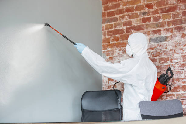 Mold Remediation for Rental Properties in Stafford, OR