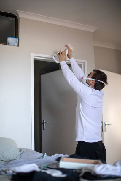 Best Mold Documentation for Insurance Claims  in Staffd, OR