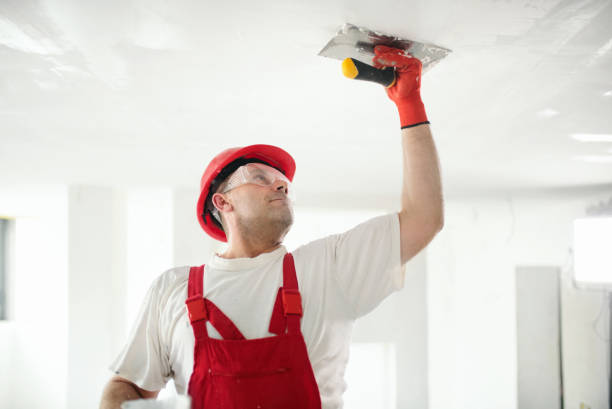 Best Black Mold Removal  in Staffd, OR