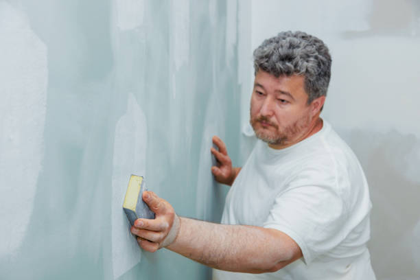 Best Mold Damage Restoration  in Staffd, OR