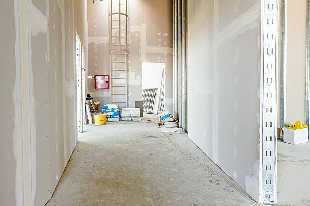 Stafford, OR Mold Removal Company